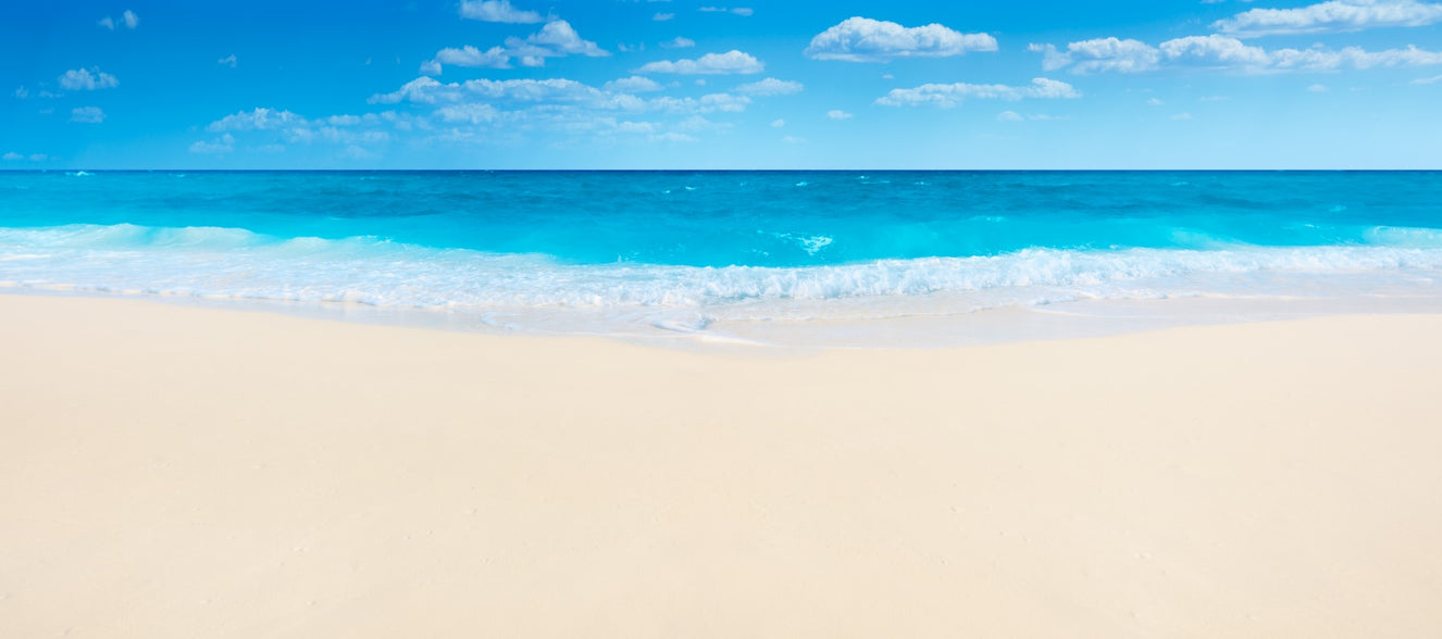 Summer Beach Wallpaper Mural