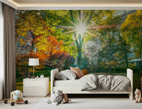 Sun Rays Through Trees wallpaper mural of sun beams through fall foliage behind a white kids bed with toys in a nursery