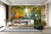 Sun Rays Through Trees wallpaper mural of a sunburst over fall trees in a living room with white sofa and rocking chair