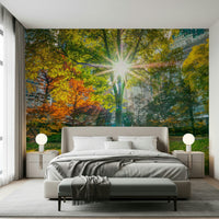 Sun Rays Through Trees wallpaper mural of sun beams and orange leaves above a beige upholstered bed in a bedroom