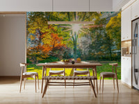 Sun Rays Through Trees wallpaper mural with a sunburst over autumn park trees in a dining room with wood table and chairs