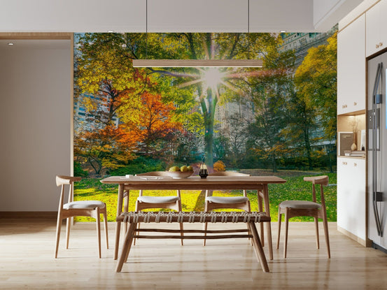 Sun Rays Through Trees wallpaper mural with a sunburst over autumn park trees in a dining room with wood table and chairs