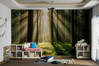 The overall feeling is one of calm, tranquility, and natural peace.
