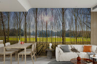 The trees are tall and numerous.

