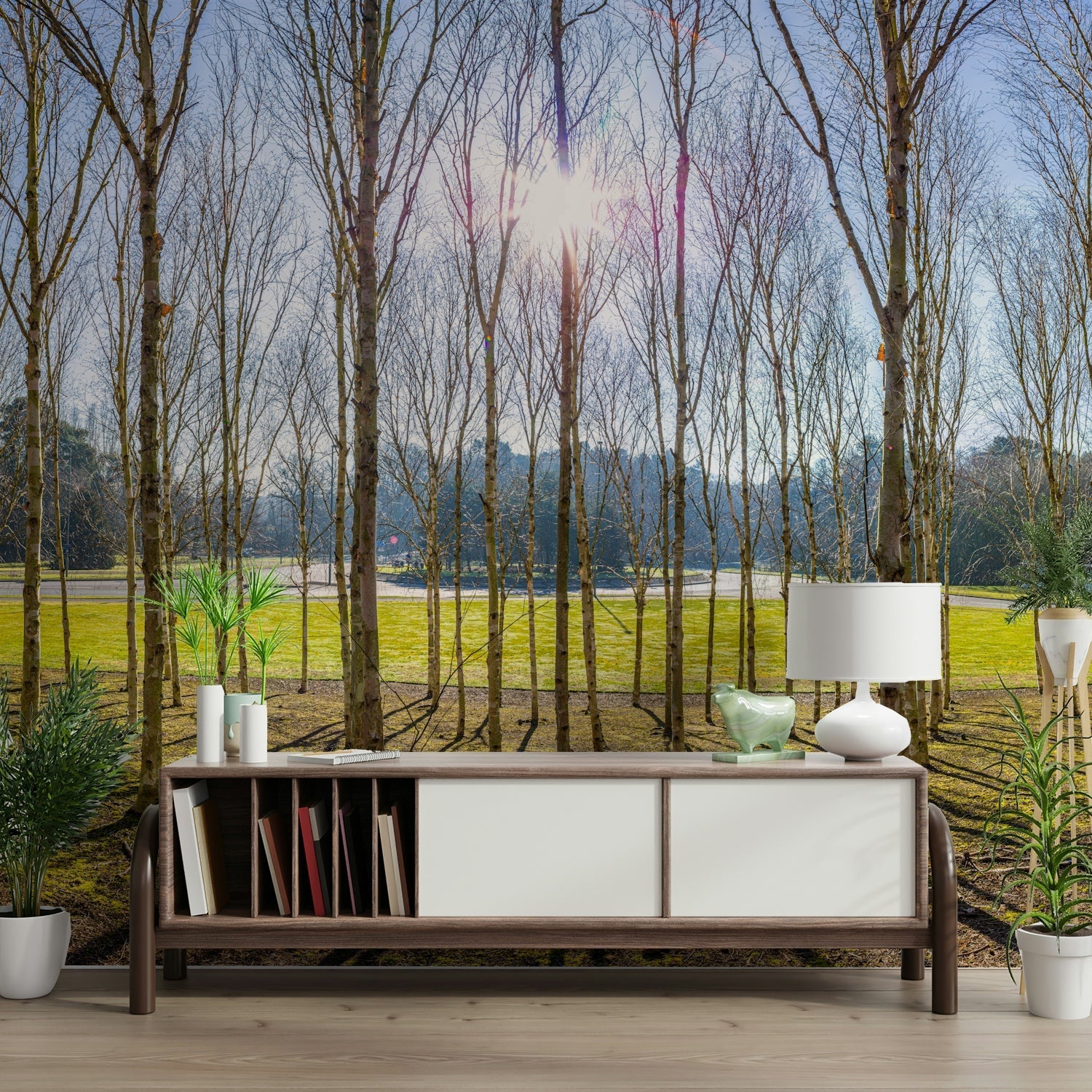 The light creates beautiful patches on the ground.

