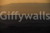 A high-quality serene desert wall mural for walls.

