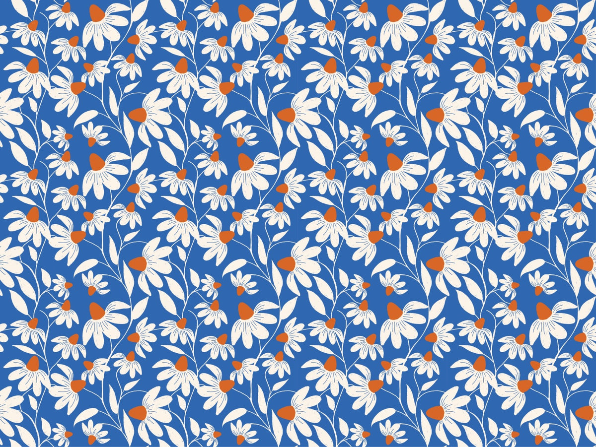 Floriography White Coneflower Wallpaper