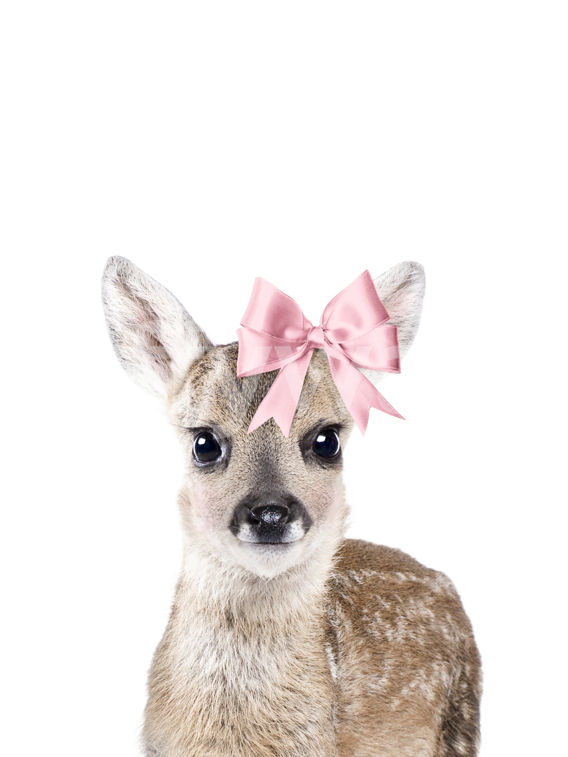 Nursery mural with charming baby woodland deer

