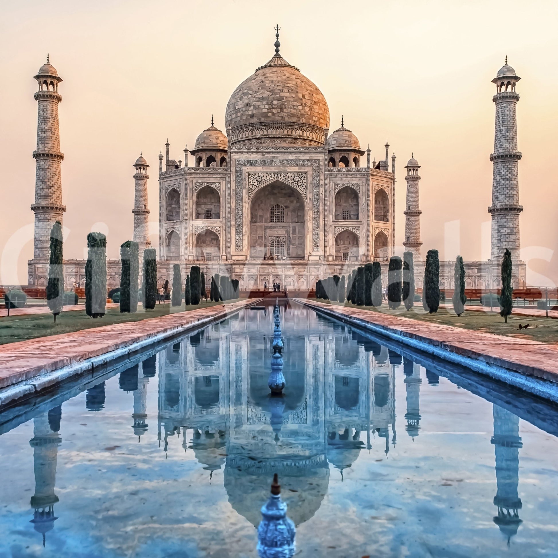 Taj Reflection Wall Mural