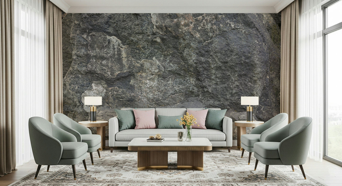 Rocky Surface Wall Mural -2566618