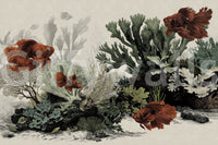 The Aquarium - Antique Paper Wall Mural