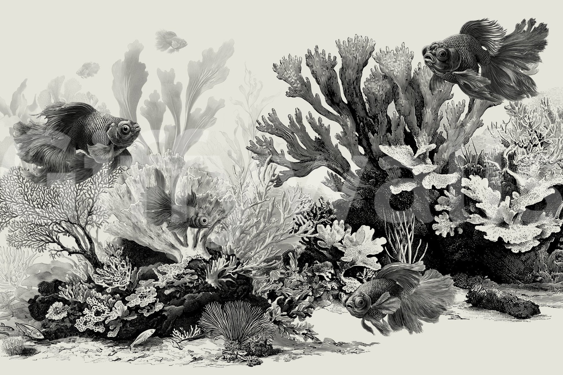 The Aquarium - Black & Cream Wall Mural