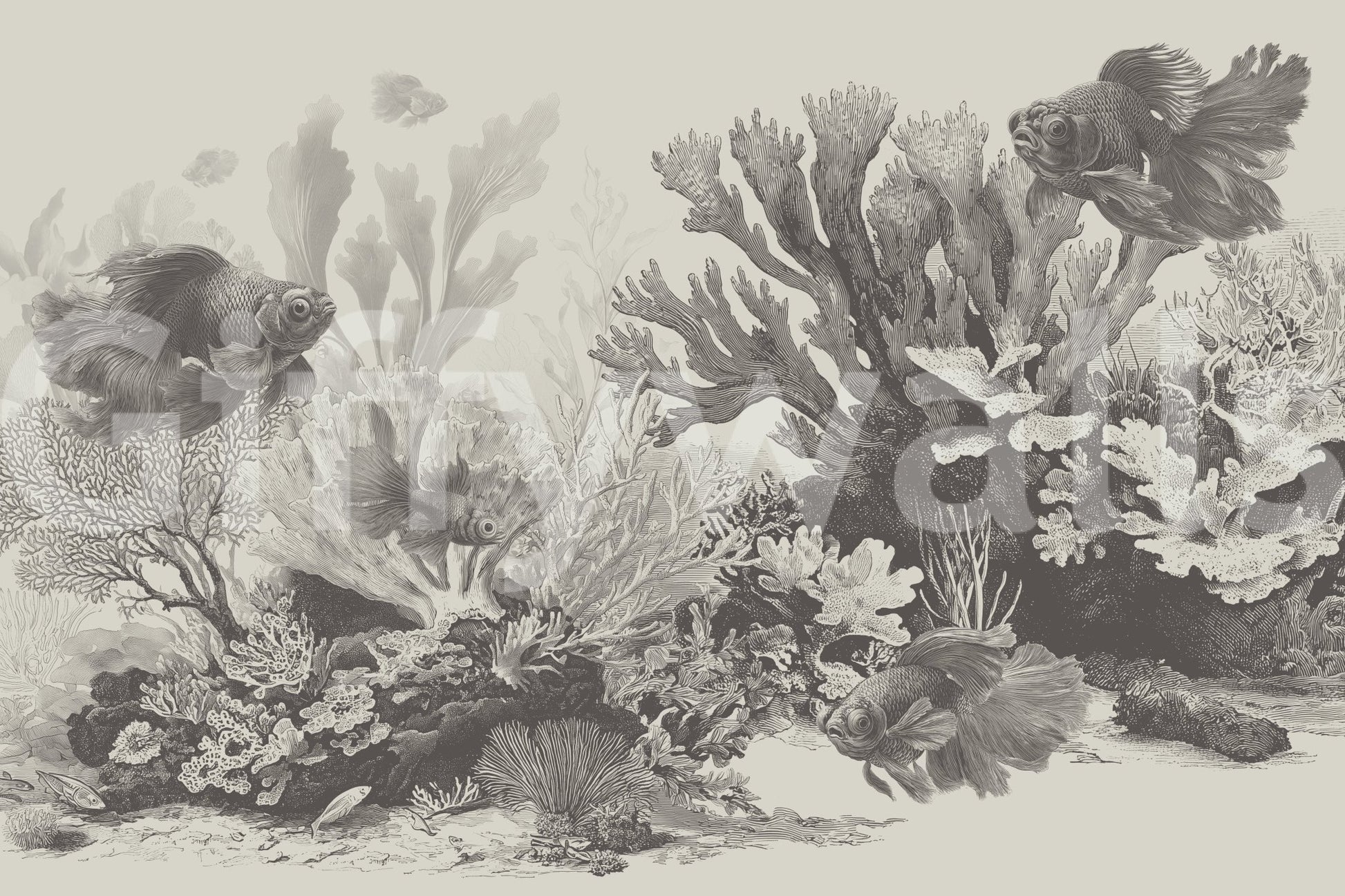 The Aquarium - Greige Wall Mural
