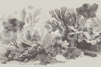 The Aquarium - Greige Wall Mural