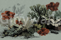 The Aquarium - Seafoam Wall Mural