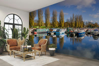 Narrowboats docked in a scenic countryside marina

