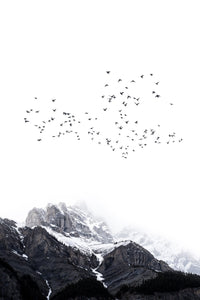 Suitable for a natural, contemporary, or inspirational interior.
