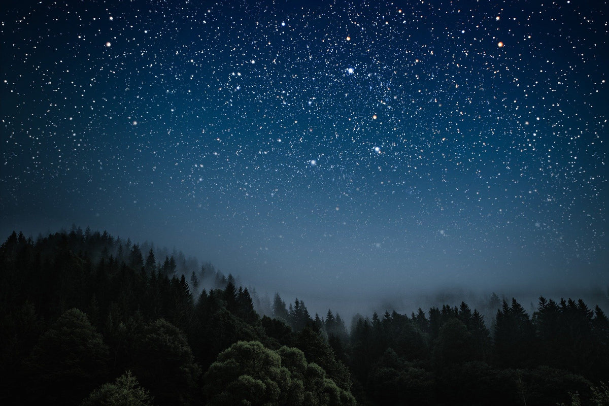Starry Night Wallpaper Mural in your room — zoomed