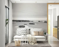 Tide Pools Wall Mural