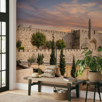 The mural gives a feeling of being in an ancient city.

