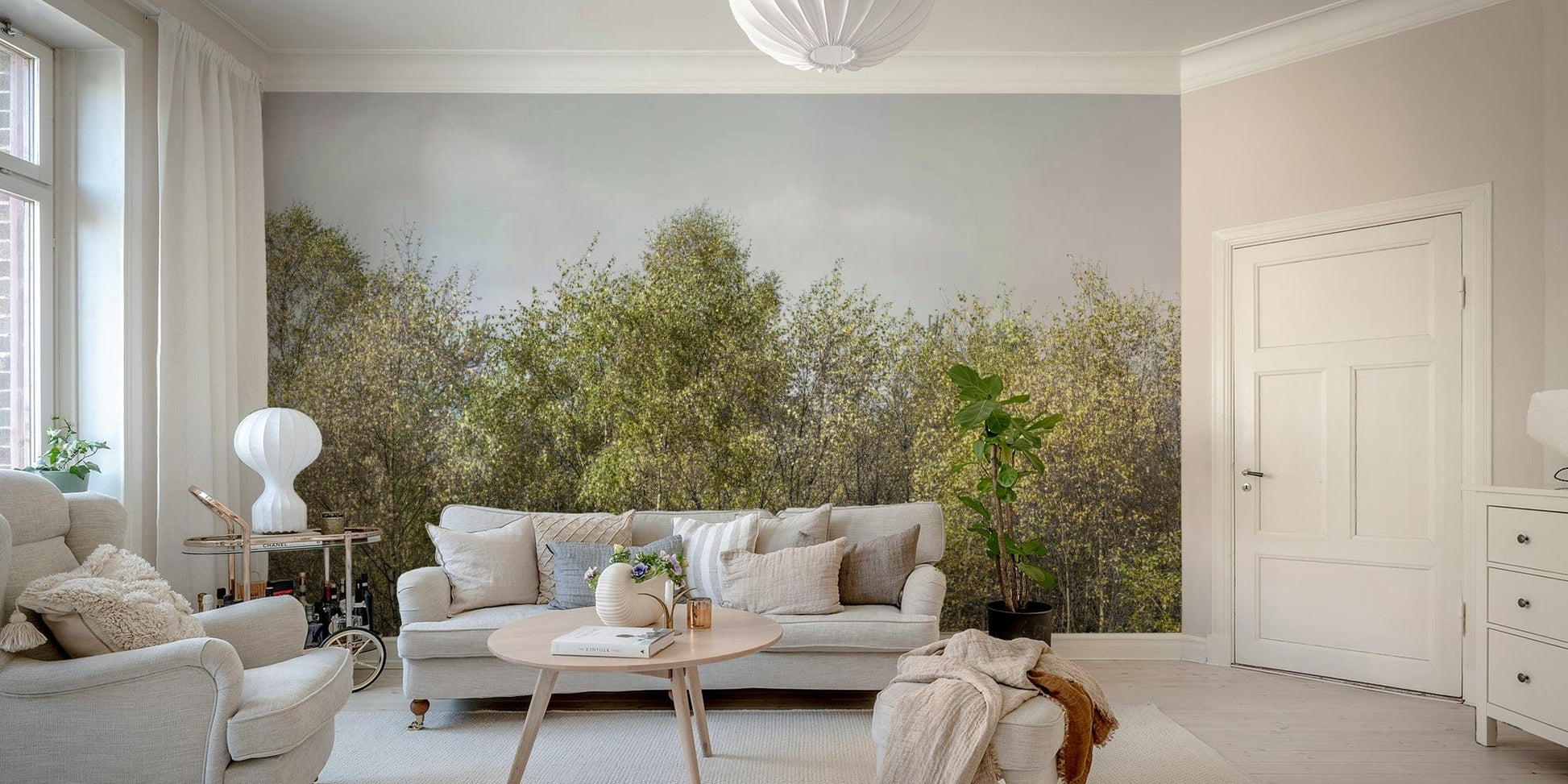 Birch Grove trees wall covering

