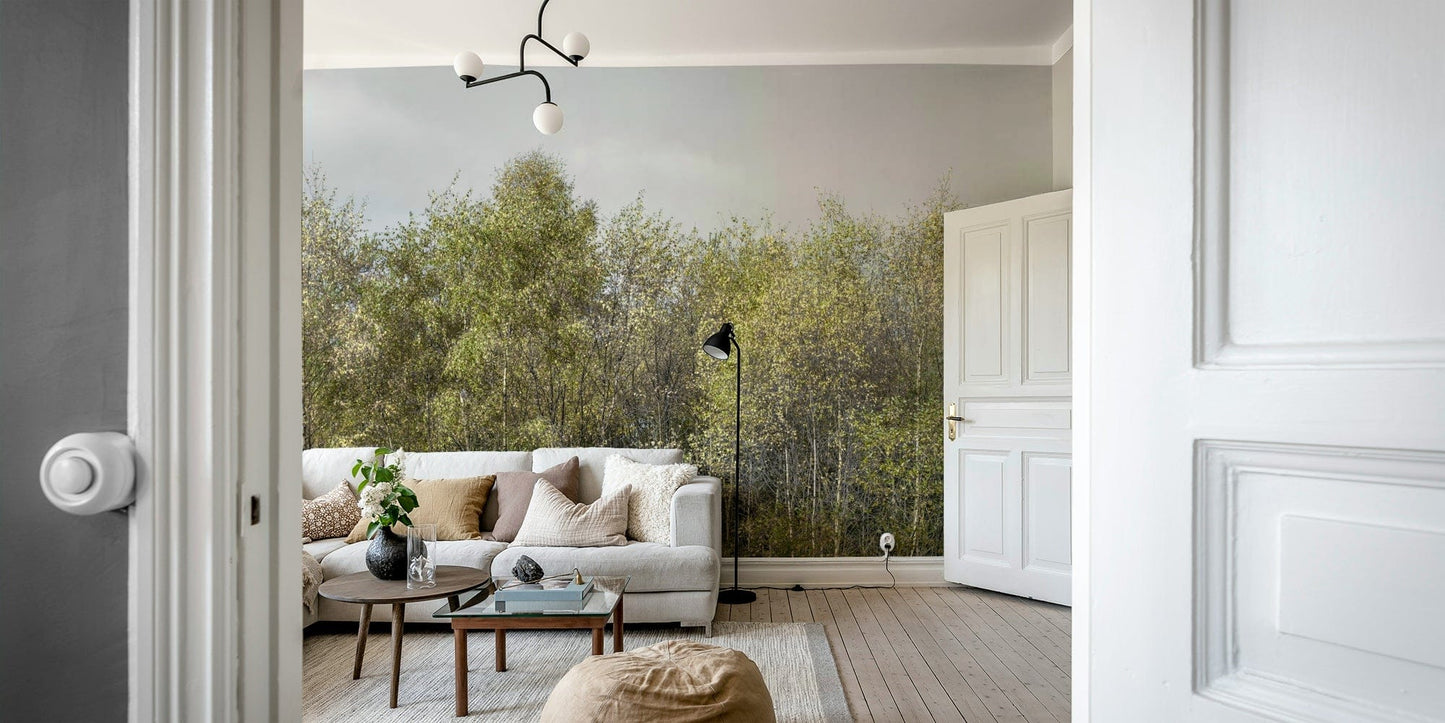 Birch Grove peaceful wallpaper for walls

