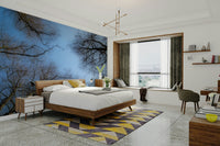 Calm nature wallpaper for walls
