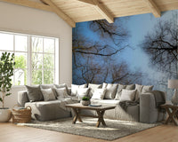Blue sky and branches wall mural
