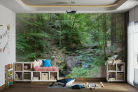 Brings the beauty of the outdoors indoors.

