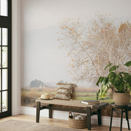 It gives a feeling of calm, profound stillness, and inviting natural beauty.
