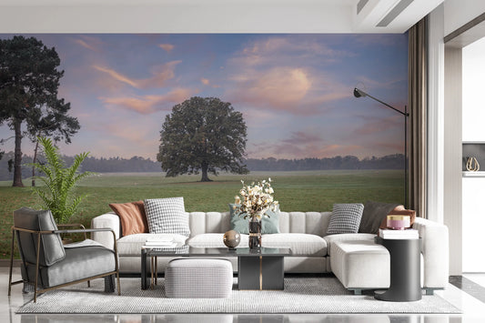 Tranquil Sunrise Field Wall Mural with golden morning light for living room.