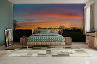 Serenity in Shadows wallpaper mural showing sunset trees over a field behind a tan bed with patterned bedding in a bedroom