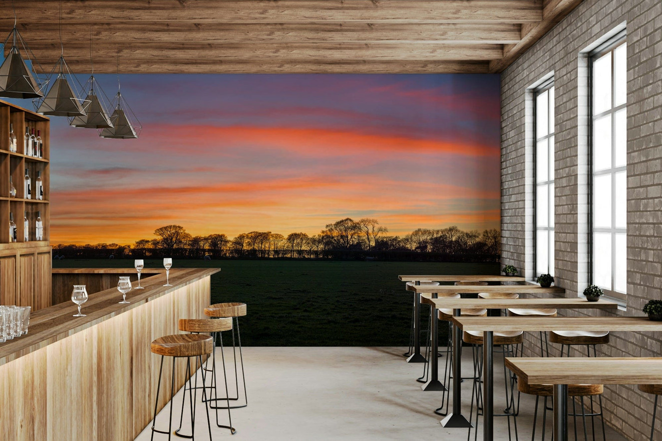 Serenity in Shadows Wall Mural