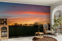 Serenity in Shadows wallpaper mural of sunset field and treeline behind a round table and cane armchair in a dining nook