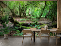 Soft green trees wallpaper
