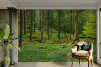 The colors are earthy and natural, with dominant greens and browns.

