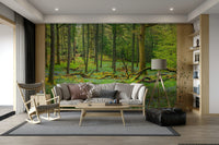 A close-up view shows the fine details of the tree trunks and foliage.

