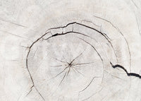 Tree wallpaper mural in hallway, natural texture look, neutral colors for a long wall