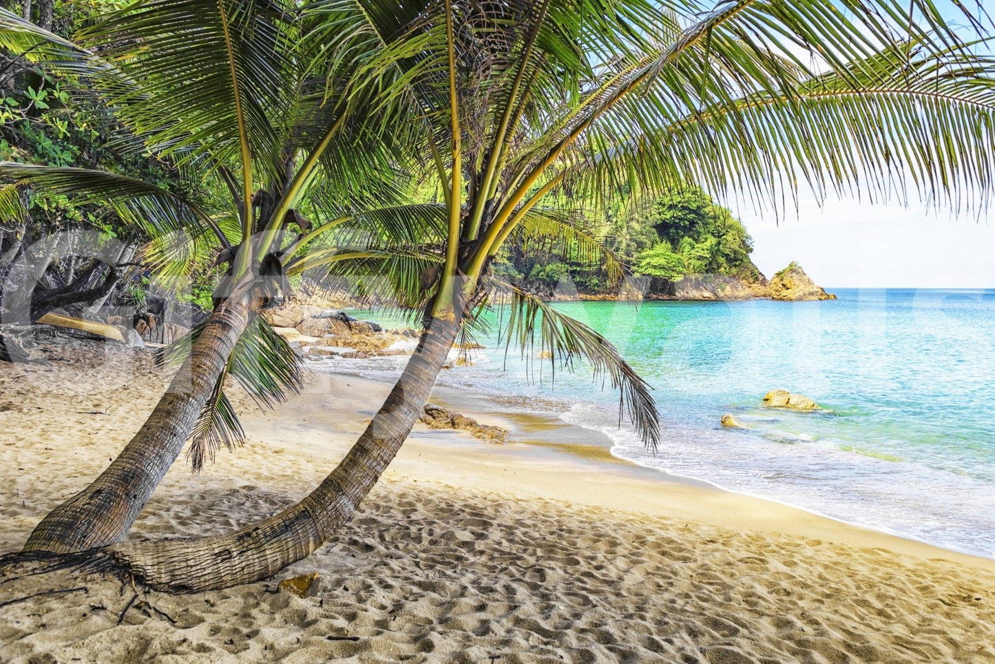 Tropical Beach Escape wallpaper mural close-up of leaning coconut palms over golden sand by a turquoise lagoon