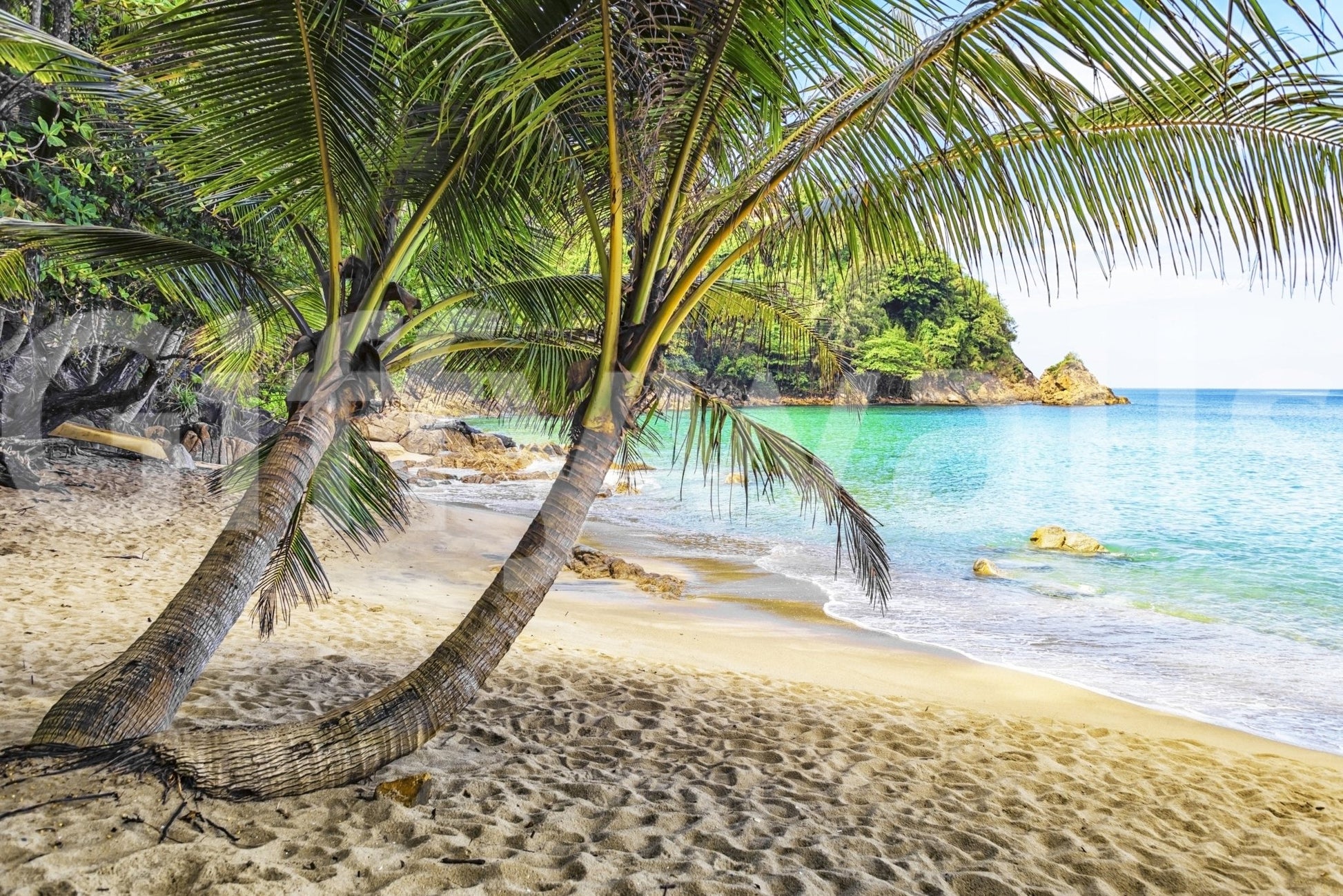 Tropical Beach Escape wallpaper mural close-up of leaning coconut palms over golden sand by a turquoise lagoon