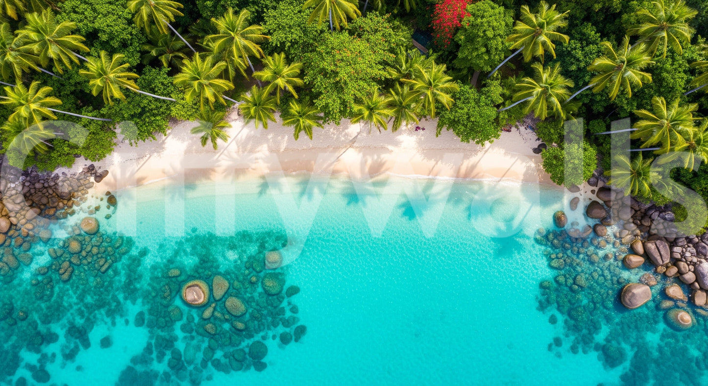 Tropical dreams, peaceful and calm

