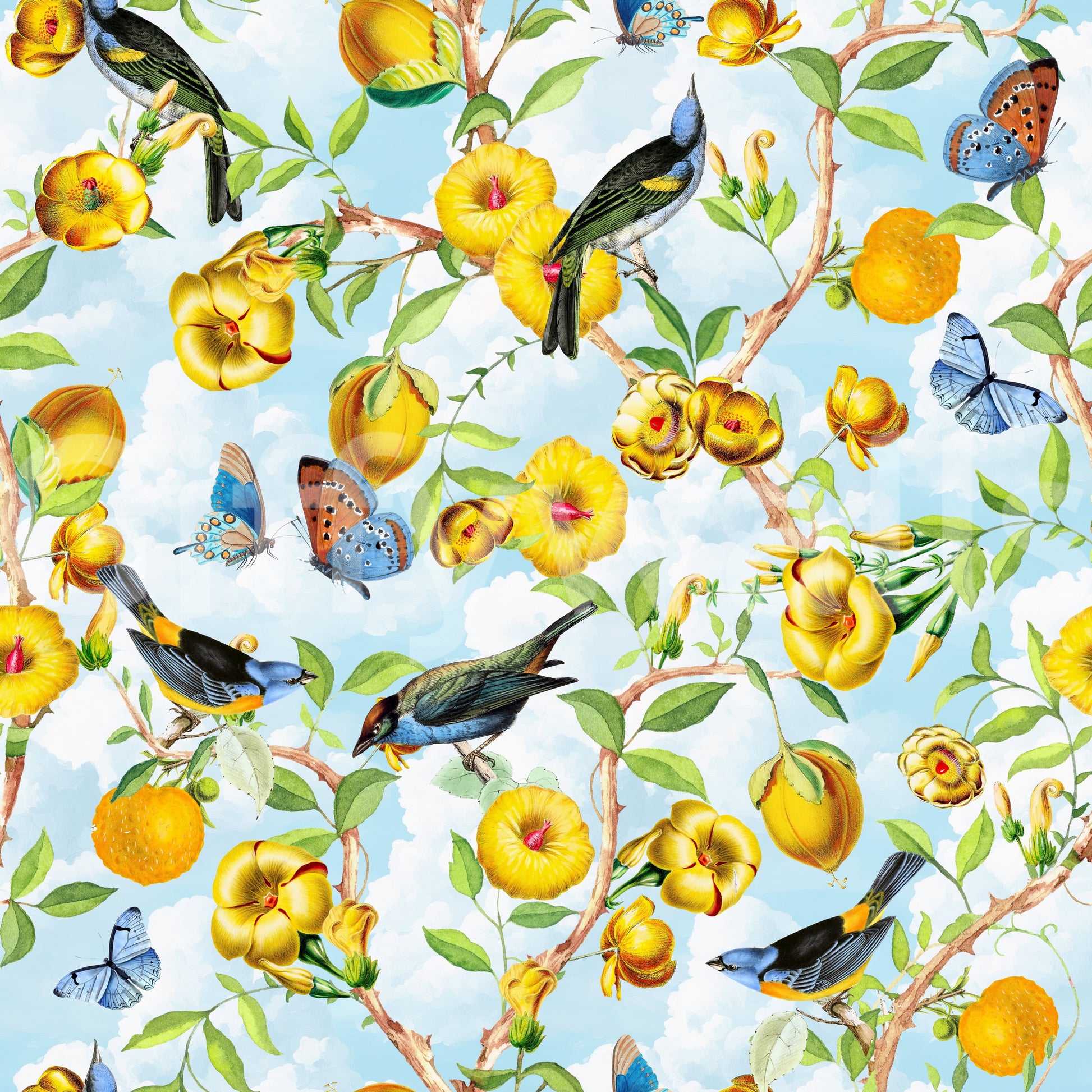 Dynamic wallpaper with tropical foliage and illustrated birds.

