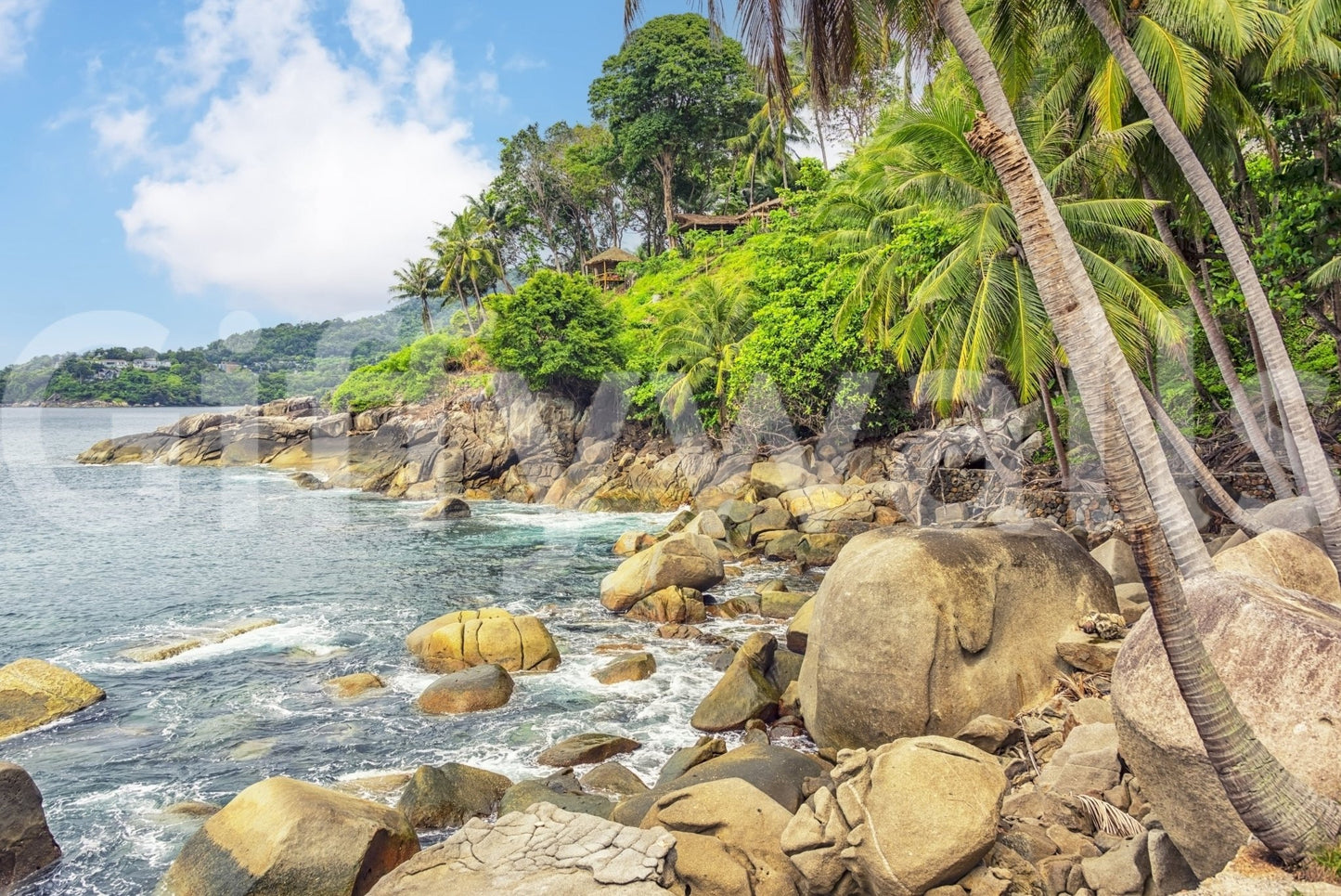 Tropical Shores wallpaper mural close-up of leaning palms, boulders and turquoise water along a rocky tropical coast