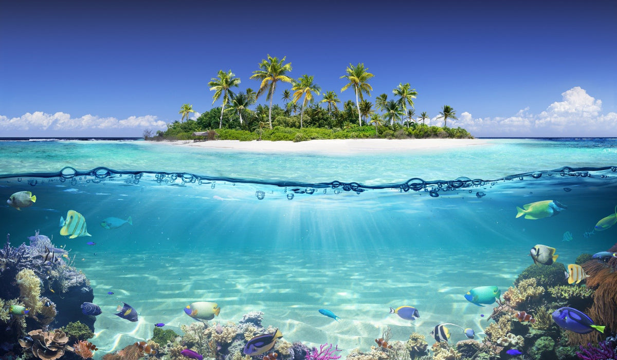Blue Ocean Island Beach Wallpaper Mural in your room