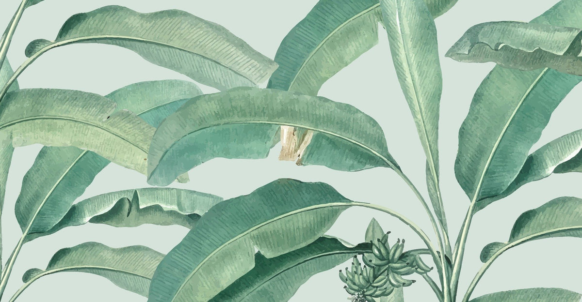 Tropical Banana Leaf Wall Mural in your room — zoomed