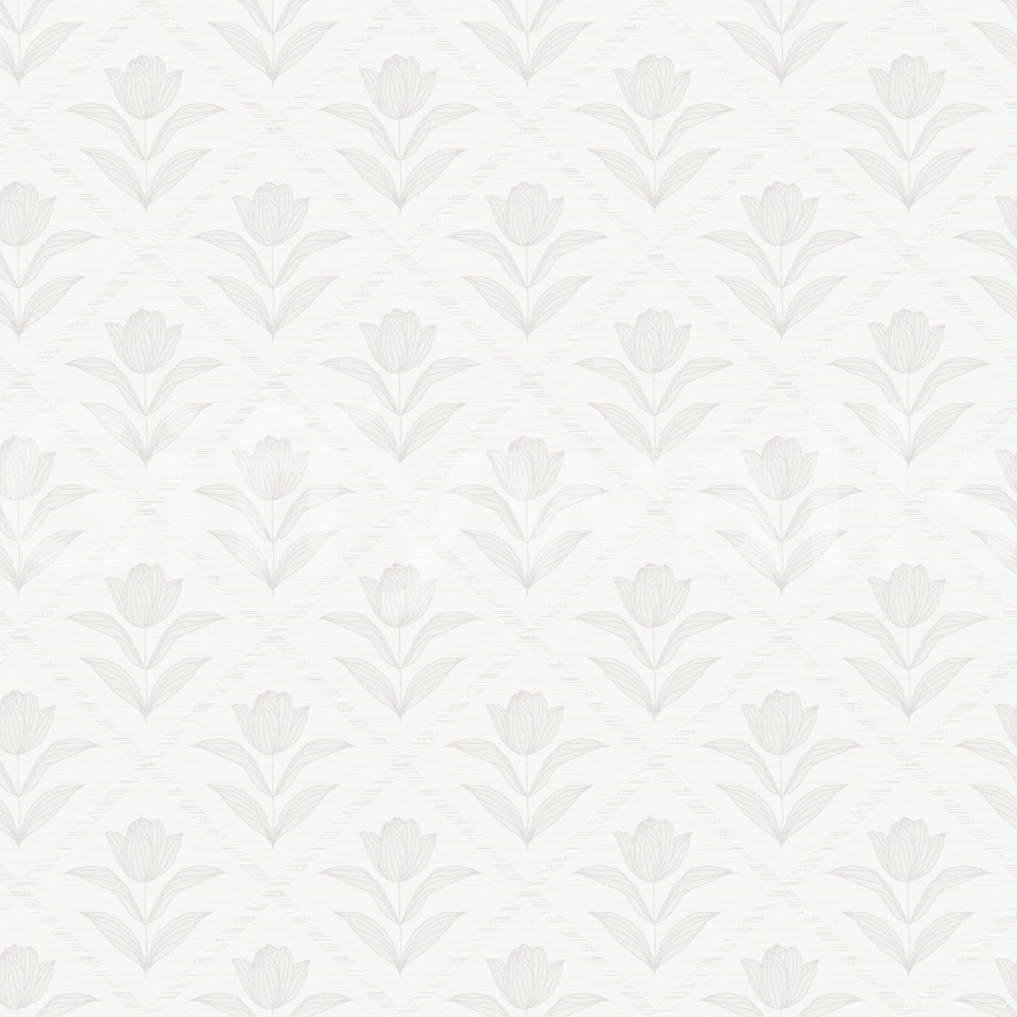 Tulip Cream Wallpaper⁠