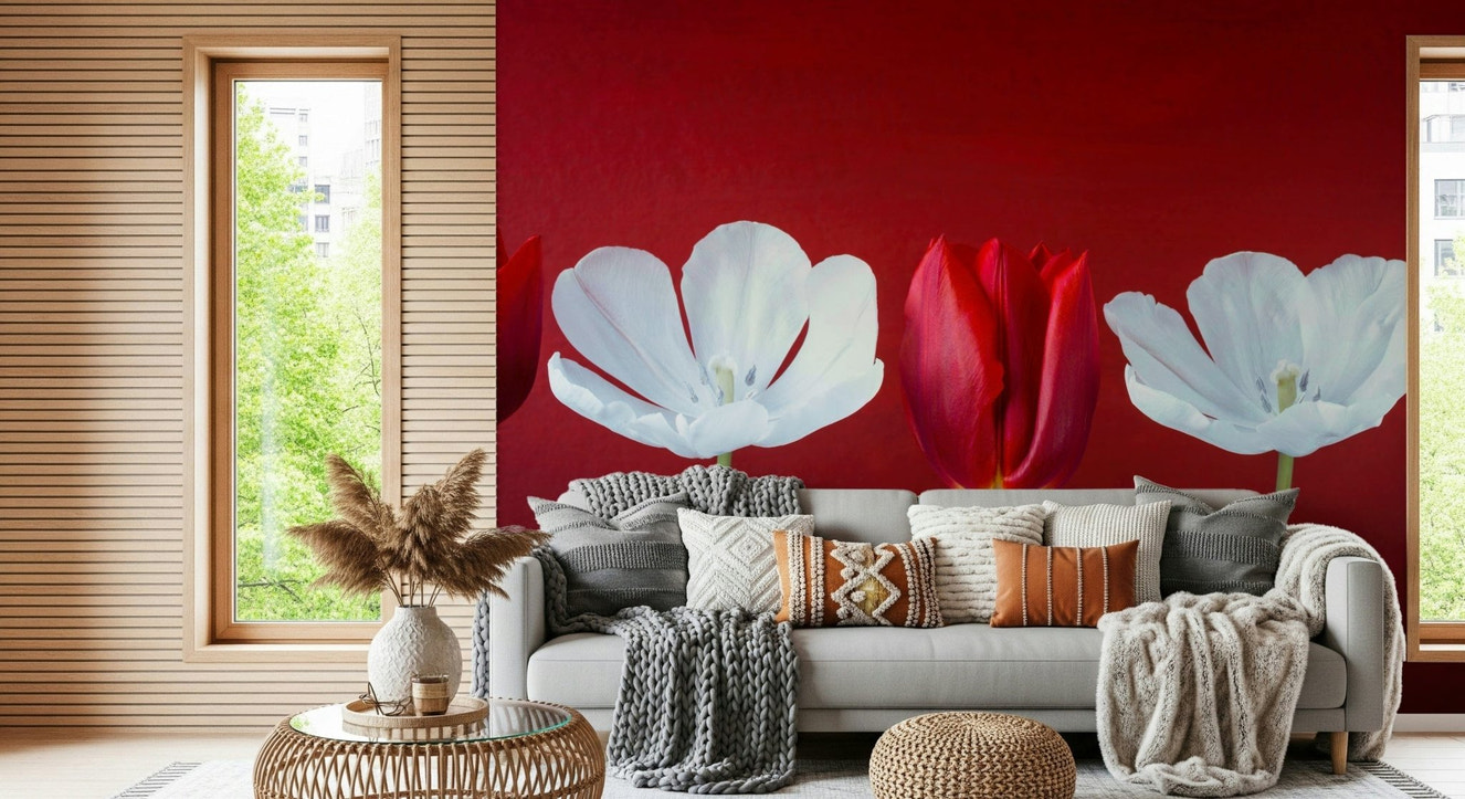 Tulips in a row wallpaper mural showcasing crimson blooms against deep scarlet backdrop.