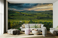 Sunset vineyard landscape wall art

