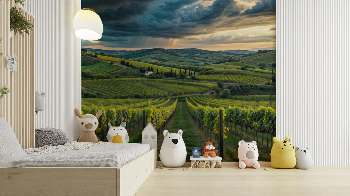 Vineyard rows in Tuscany wall art

