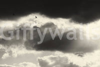 A high-quality custom graphic wall mural for walls.

